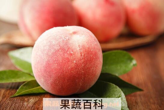 水蜜桃的功效与作用及禁忌