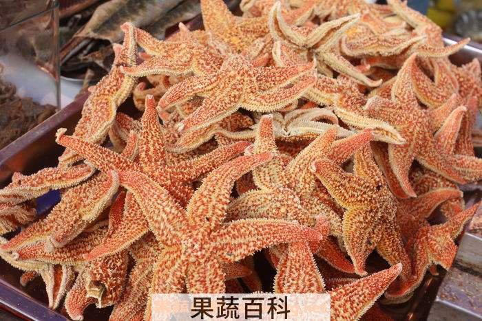 干海星怎么吃 干海星的功效与作用