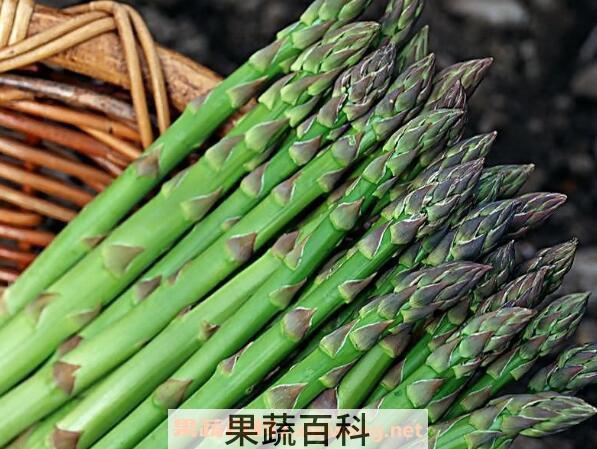 芦笋怎么种植 芦笋的种植方法和时间