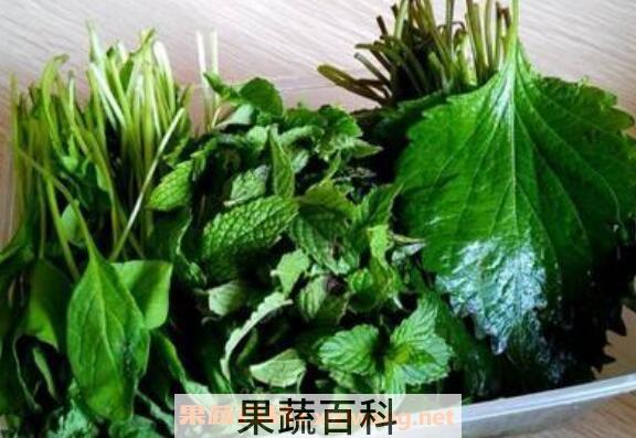 芝麻叶怎么吃 干的芝麻叶怎么做好吃