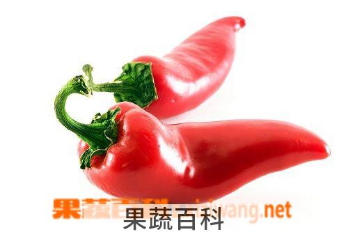 果蔬百科辣椒