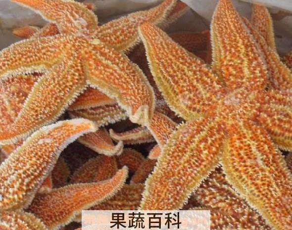 干海星怎么煲汤 干海星放什么一起煲汤