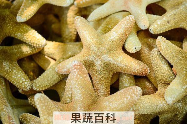 干海星煲汤前如何清洗 干海星煲汤有什么功效