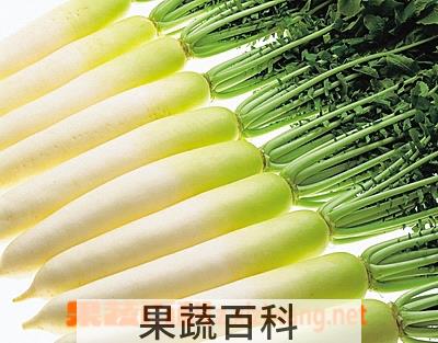 果蔬百科萝卜
