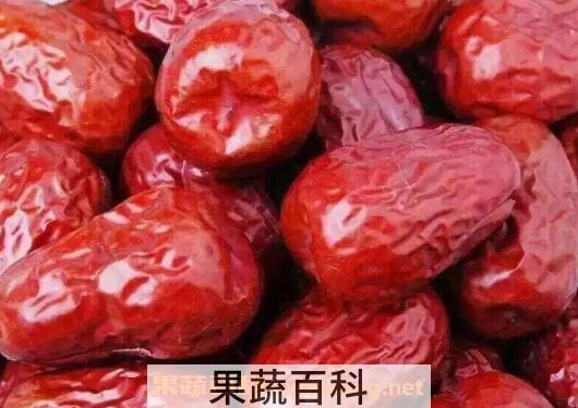 骏枣和玉枣的区别 玉枣的营养价值与功效