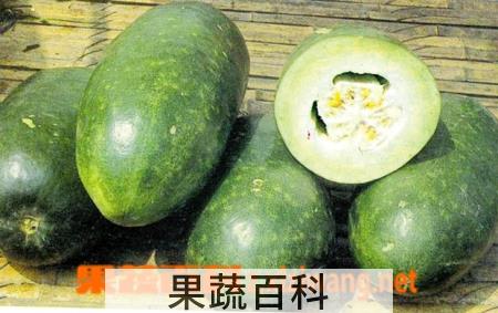 果蔬百科冬瓜