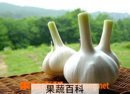 果蔬百科山楂核桃饮