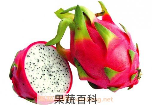 火龙果