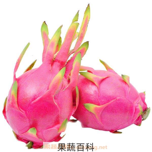火龙果营养价值