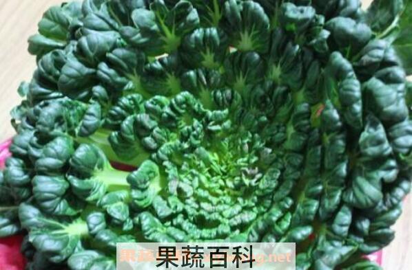  塔菜的营养价值及功效
