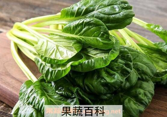 乌塌菜的功效与作用