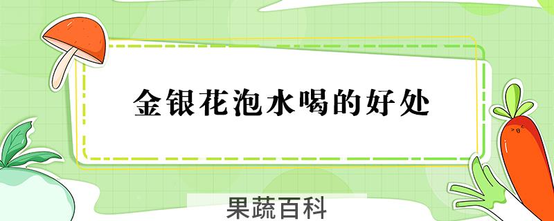 金银花泡水喝的好处