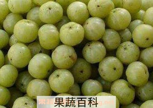 余甘泡酒的功效与作用