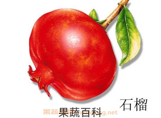 石榴的营养