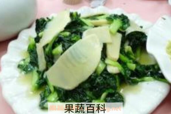 塔菜怎么做好吃 塔菜的做法大全