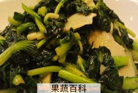 塔菜怎么做好吃 塔菜的做法大全