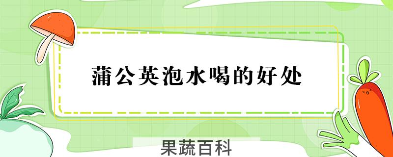 蒲公英泡水喝的好处