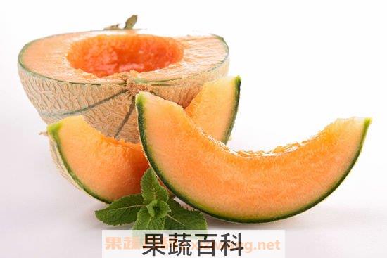 选购哈密瓜