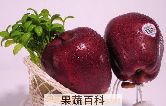 蛇果的营养