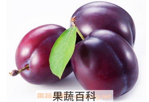 李子的营养价值
