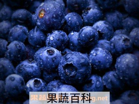 蓝莓的功效