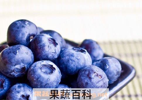 蓝莓的营养价值