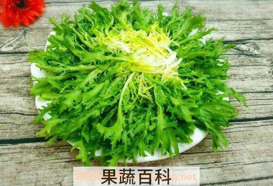 苦菊怎么做好吃 苦菊的家常做法