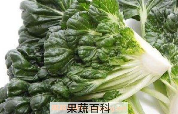 乌塌菜怎么吃 乌塌菜的家常做法