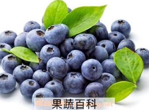 蓝莓的功效与作用有哪些