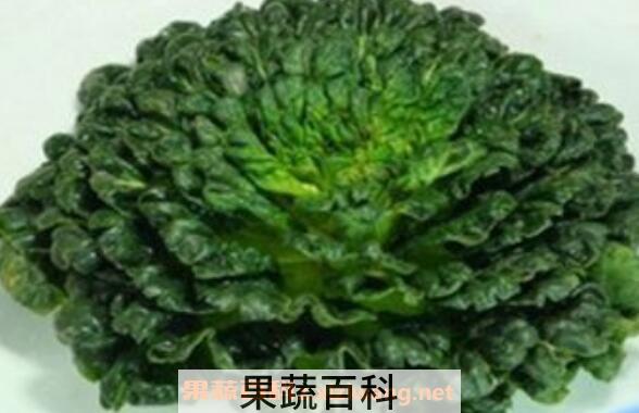 塔菜能生吃吗 塔菜怎么做