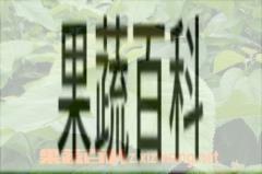 果蔬百科桑叶粥