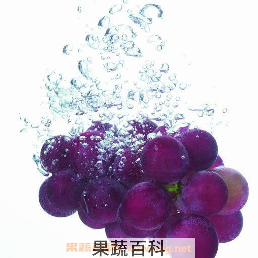 葡萄的作用
