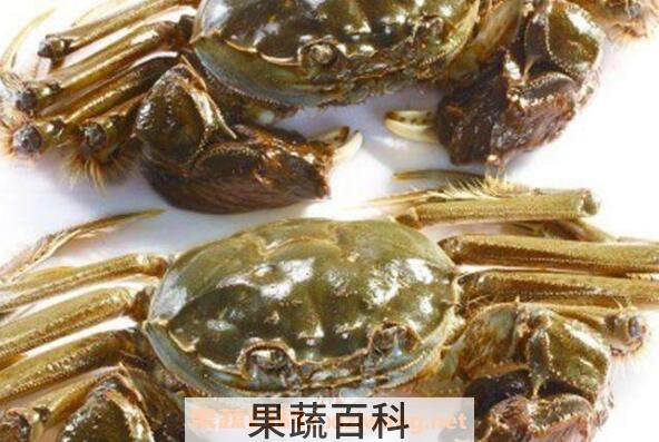 活螃蟹怎么保存 活螃蟹如何保鲜