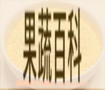 果蔬百科碴子
