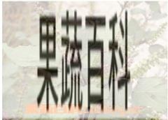 果蔬百科紫苏子