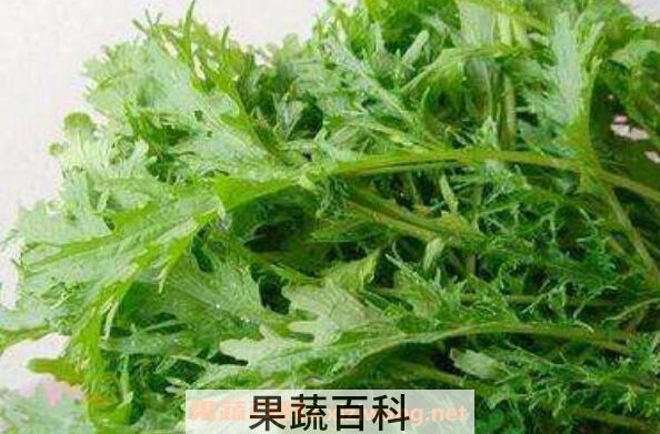 雪里蕻是什么菜 雪里蕻的家常做法