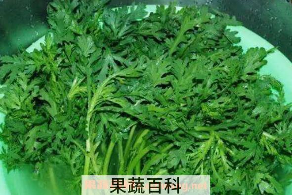 雪里蕻是什么菜 雪里蕻的家常做法