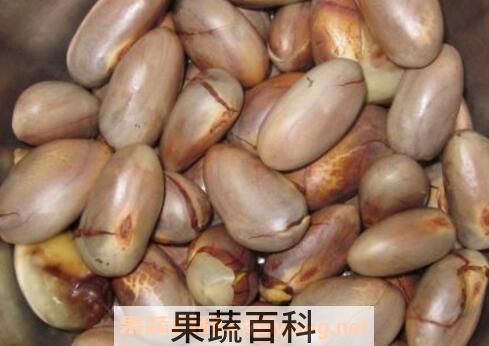 菠萝蜜的核可以吃吗 菠萝蜜的核怎么吃