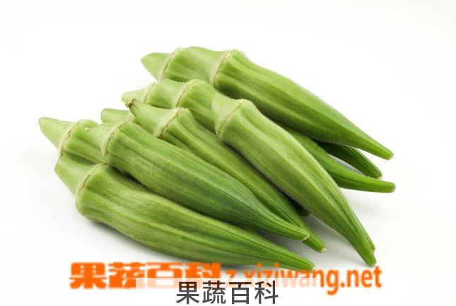 果蔬百科 秋葵的功效和营养价值 秋葵食用方法