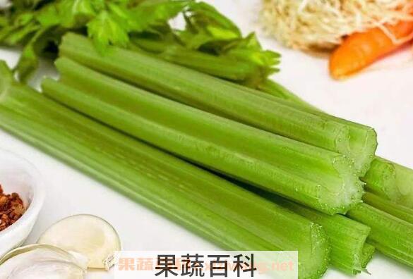冬季吃什么菜好呢 适合冬季吃的食物大全