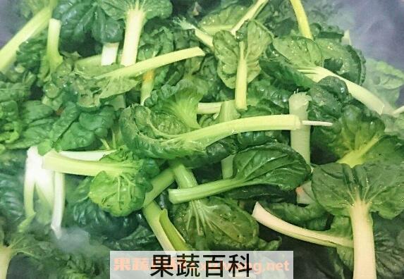 塔菜的功效与作用 塔菜的食用禁忌