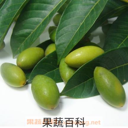 橄榄的功效