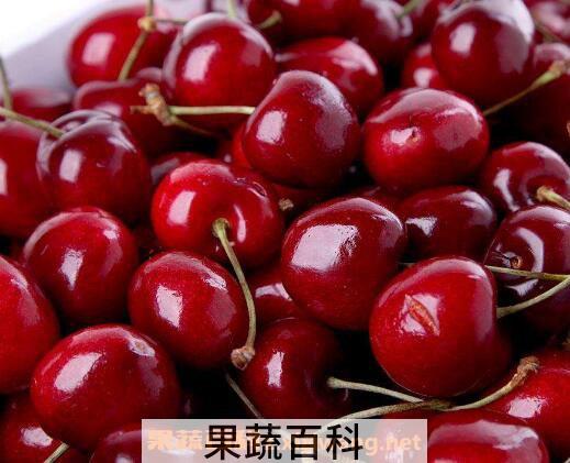车厘子和樱桃的区别 车厘子和樱桃哪个更好