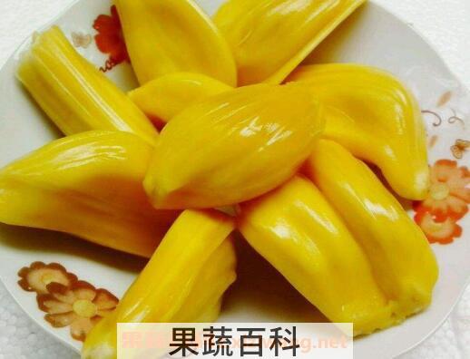 菠萝蜜核的功效与作用有哪些