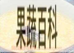 果蔬百科黄小米