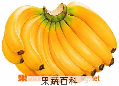果蔬百科吃香蕉的好处和坏处