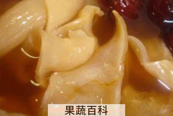 鱼胶怎么吃才有营养 鱼胶怎么吃效果最好