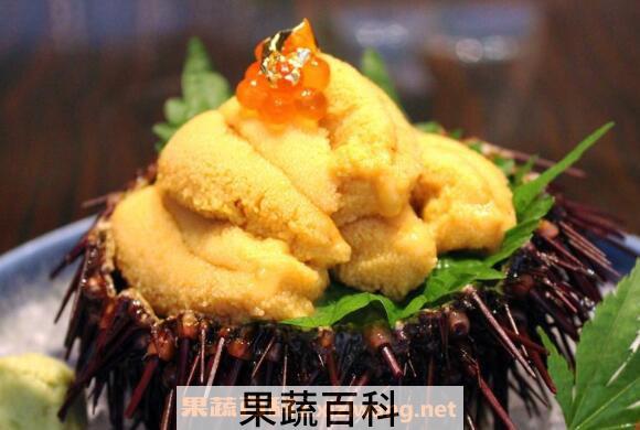 海胆的营养价值 吃海胆的功效作用