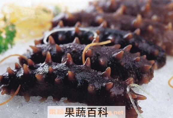 辽参的营养价值与功效 