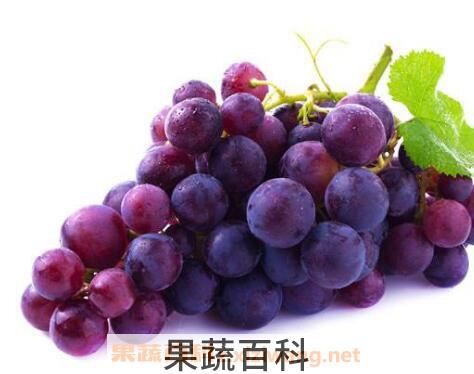 葡萄怎么去皮快 葡萄去皮的方法妙招